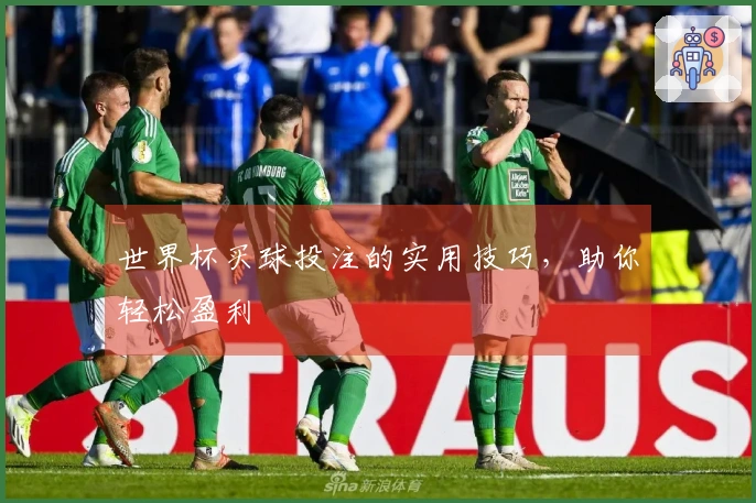 世界杯买球投注的实用技巧，助你轻松盈利