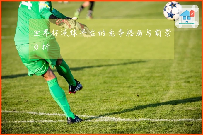 世界杯滚球平台的竞争格局与前景分析