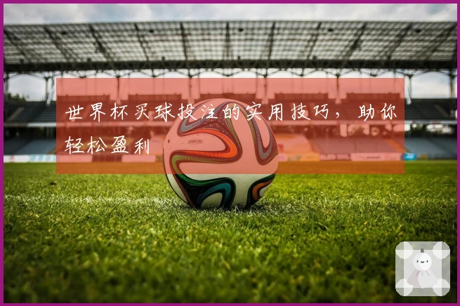 世界杯买球投注的实用技巧，助你轻松盈利