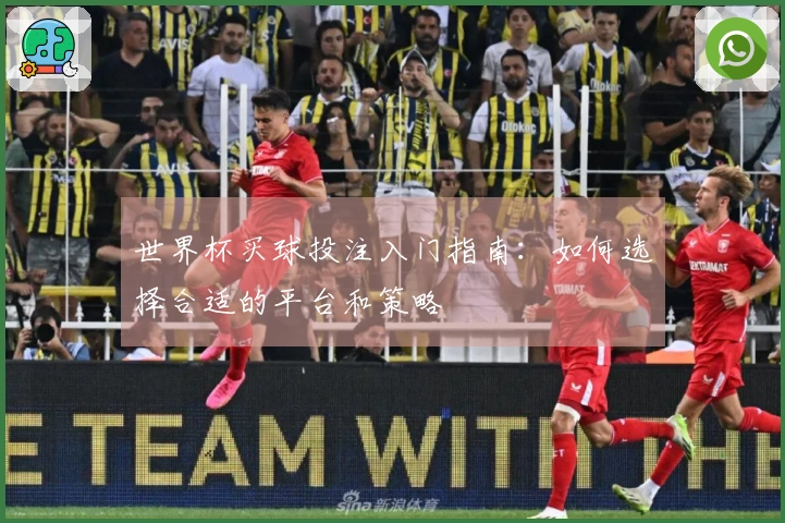 世界杯买球投注入门指南：如何选择合适的平台和策略