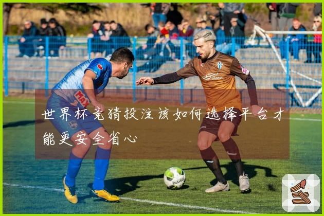 世界杯竞猜投注该如何选择平台才能更安全省心