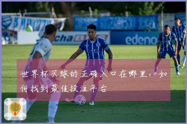 世界杯买球的正确入口在哪里，如何找到最佳投注平台