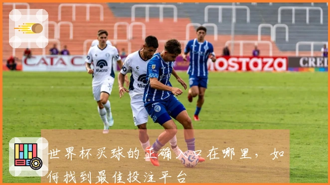世界杯买球的正确入口在哪里，如何找到最佳投注平台