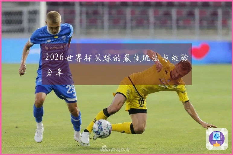 2026世界杯买球的最佳玩法与经验分享