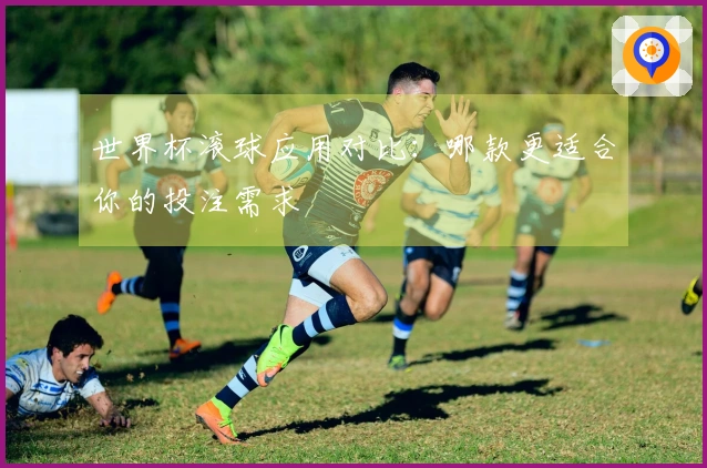 世界杯滚球应用对比：哪款更适合你的投注需求